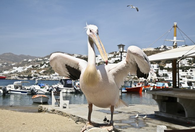 Mykonos